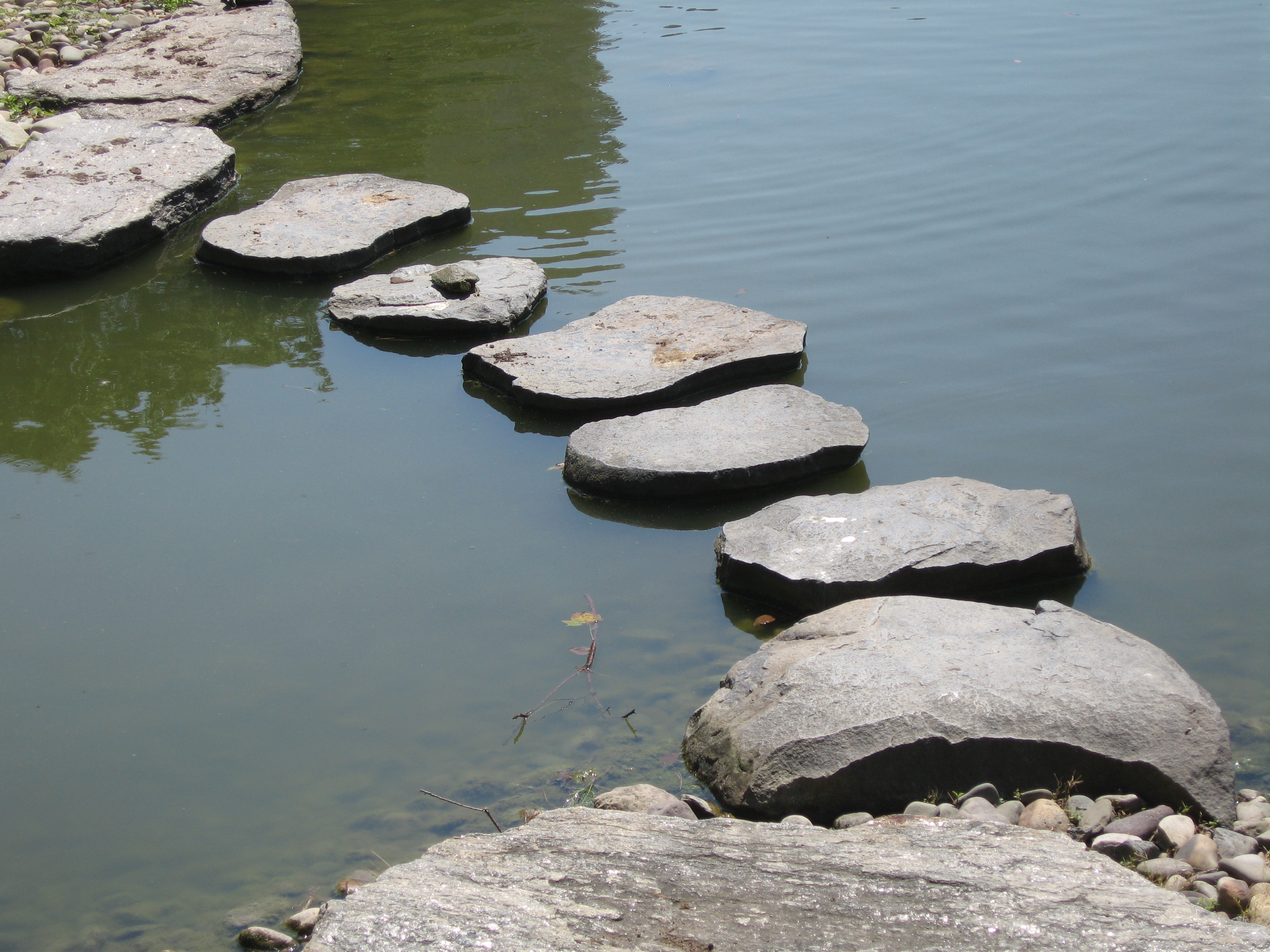 stepping stones